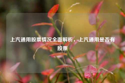 上汽通用股票情况全面解析，上汽通用是否有股票