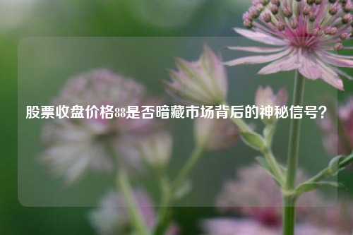 股票收盘价格88是否暗藏市场背后的神秘信号？