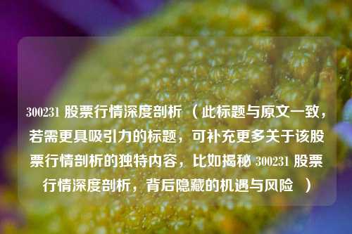 300231 股票行情深度剖析 (此标题与原文一致,若需更具吸引力的标题,可补充更多关于该股票行情剖析的独特内容,比如揭秘 300231 股票行情深度剖析,背后隐藏的机遇与风险 )