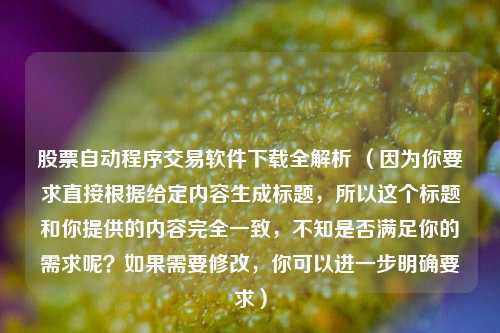 股票自动程序交易软件下载全解析 (因为你要求直接根据给定内容生成标题,所以这个标题和你提供的内容完全一致,不知是否满足你的需求呢?如果需要修改,你可以进一步明确要求)