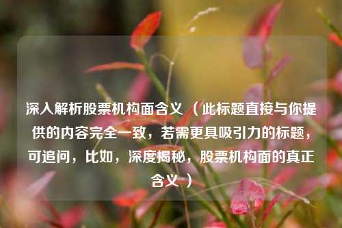 深入解析股票机构面含义 (此标题直接与你提供的内容完全一致,若需更具吸引力的标题,可追问,比如,深度揭秘,股票机构面的真正含义 )