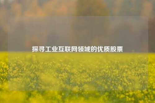 探寻工业互联网领域的优质股票