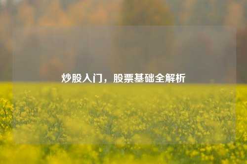 炒股入门,股票基础全解析