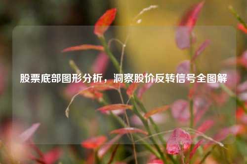 股票底部图形分析,洞察股价反转信号全图解