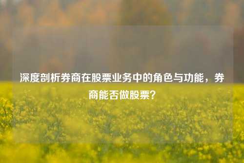 深度剖析券商在股票业务中的角色与功能,券商能否做股票?