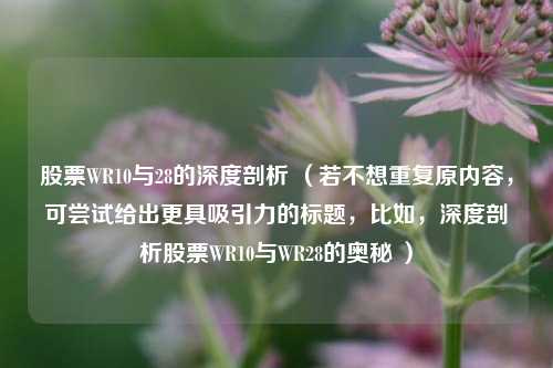 股票WR10与28的深度剖析 （若不想重复原内容，可尝试给出更具吸引力的标题，比如，深度剖析股票WR10与WR28的奥秘 ）