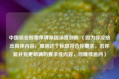 中国铝业股票停牌原因深度剖析 （因为你没给出具体内容，推测这个标题符合你要求，若你能补充更明确的要求或内容，可继续追问）