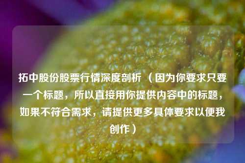 拓中股份股票行情深度剖析 (因为你要求只要一个标题,所以直接用你提供内容中的标题,如果不符合需求,请提供更多具体要求以便我创作)