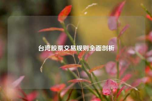 台湾股票交易规则全面剖析