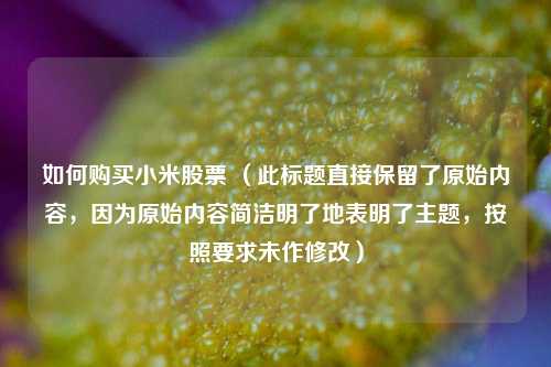 如何购买小米股票 （此标题直接保留了原始内容，因为原始内容简洁明了地表明了主题，按照要求未作修改）