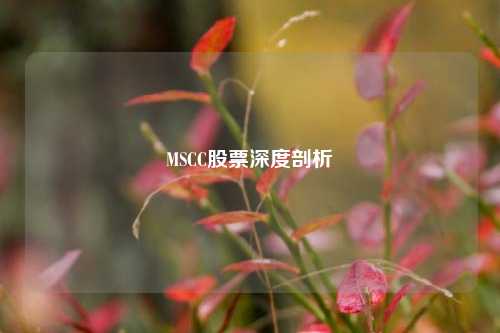 MSCC股票深度剖析
