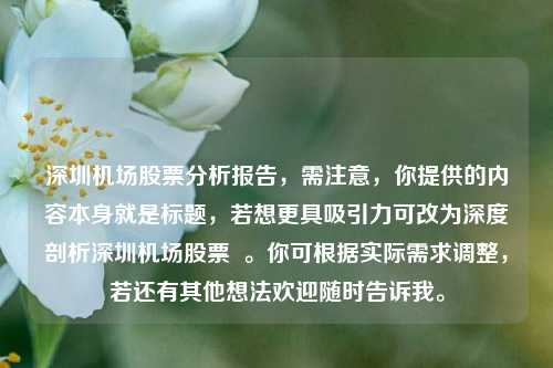 深圳机场股票分析报告，需注意，你提供的内容本身就是标题，若想更具吸引力可改为深度剖析深圳机场股票  。你可根据实际需求调整，若还有其他想法欢迎随时告诉我。