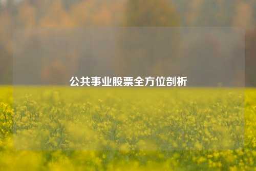 公共事业股票全方位剖析