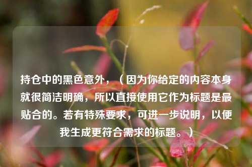 持仓中的黑色意外,(因为你给定的内容本身就很简洁明确,所以直接使用它作为标题是最贴合的。若有特殊要求,可进一步说明,以便我生成更符合需求的标题。)