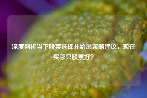 深度剖析当下股票选择并给出策略建议，现在买哪只股票好？