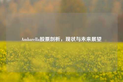 Ambarella股票剖析,现状与未来展望