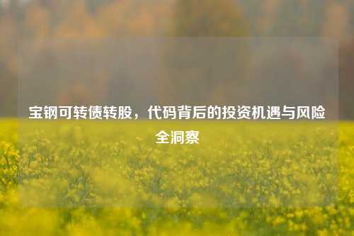 宝钢可转债转股，代码背后的投资机遇与风险全洞察
