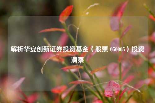 解析华安创新证券投资基金（股票 050005）投资洞察