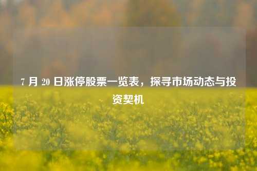 7 月 20 日涨停股票一览表，探寻市场动态与投资契机