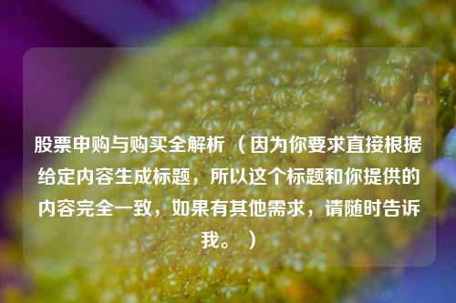 股票申购与购买全解析 （因为你要求直接根据给定内容生成标题，所以这个标题和你提供的内容完全一致，如果有其他需求，请随时告诉我。 ）