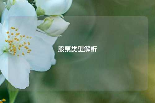 股票类型解析