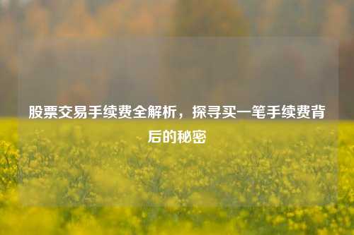 股票交易手续费全解析，探寻买一笔手续费背后的秘密