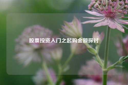 股票投资入门之起购金额探讨