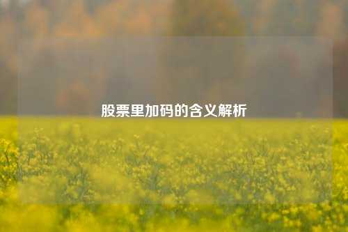 股票里加码的含义解析