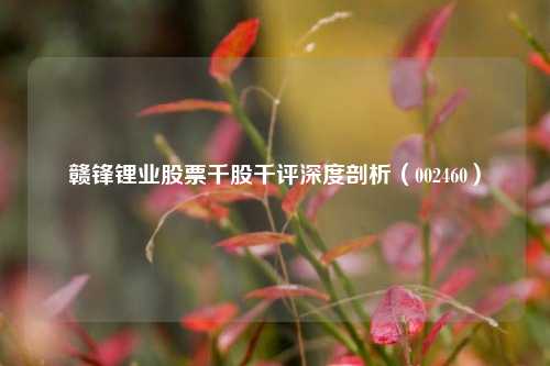 赣锋锂业股票千股千评深度剖析(002460)
