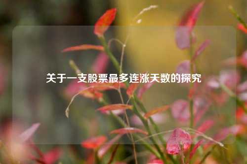 关于一支股票最多连涨天数的探究