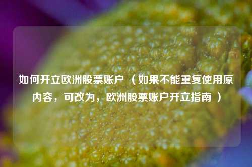 如何开立欧洲股票账户 （如果不能重复使用原内容，可改为，欧洲股票账户开立指南 ）