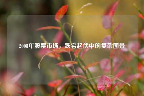 2008年股票市场，跌宕起伏中的复杂图景