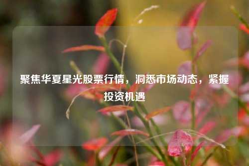 聚焦华夏星光股票行情，洞悉市场动态，紧握投资机遇