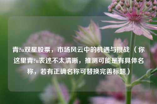 青?u双星股票，市场风云中的机遇与挑战 （你这里青?u表述不太清晰，推测可能是有具体名称，若有正确名称可替换完善标题）