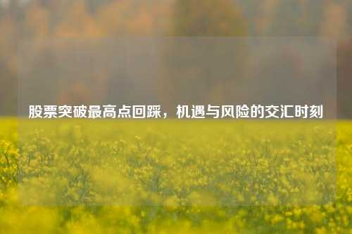 股票突破最高点回踩，机遇与风险的交汇时刻