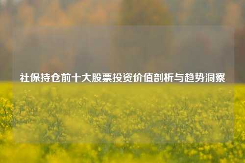社保持仓前十大股票投资价值剖析与趋势洞察
