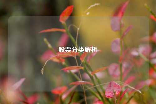 股票分类解析