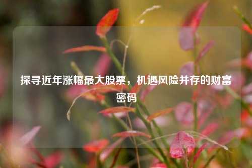 探寻近年涨幅最大股票，机遇风险并存的财富密码