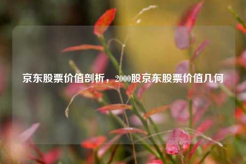 京东股票价值剖析，2000股京东股票价值几何