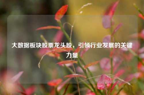 大数据板块股票龙头股，引领行业发展的关键力量