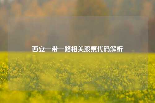 西安一带一路相关股票代码解析