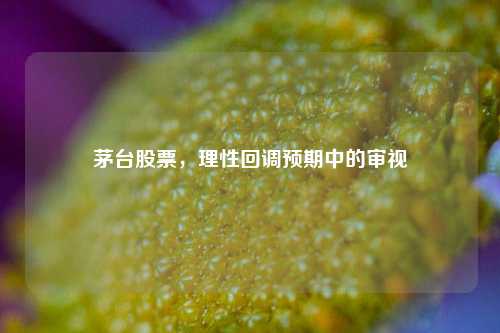 茅台股票，理性回调预期中的审视