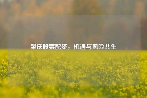 肇庆股票配资，机遇与风险共生