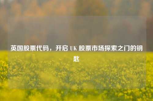 英国股票代码，开启 UK 股票市场探索之门的钥匙