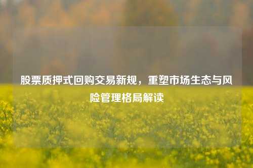 股票质押式回购交易新规，重塑市场生态与风险管理格局解读