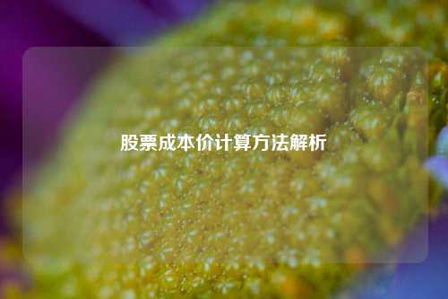 股票成本价计算方法解析