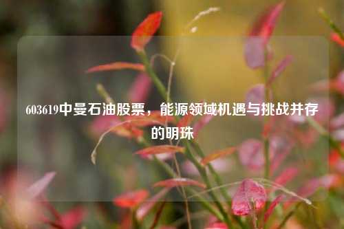 603619中曼石油股票，能源领域机遇与挑战并存的明珠