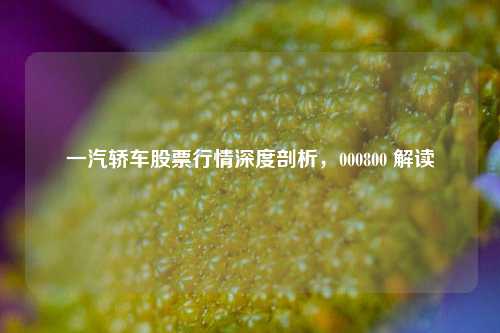 一汽轿车股票行情深度剖析，000800 解读