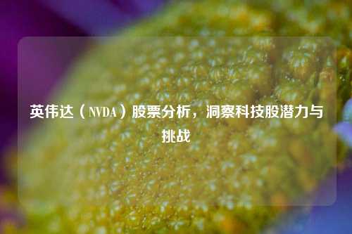 英伟达（NVDA）股票分析，洞察科技股潜力与挑战