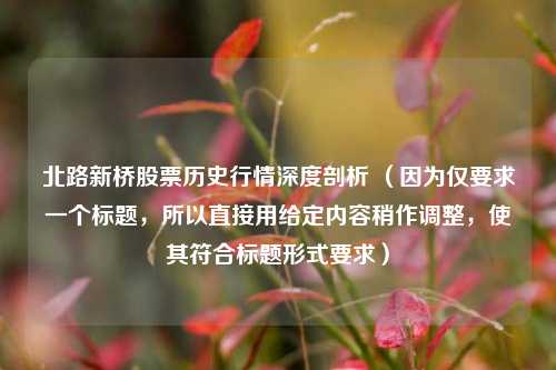 北路新桥股票历史行情深度剖析 （因为仅要求一个标题，所以直接用给定内容稍作调整，使其符合标题形式要求）